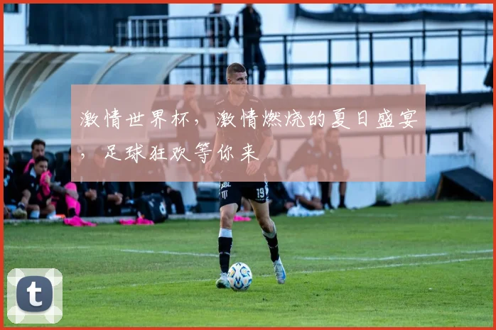 激情世界杯，激情燃烧的夏日盛宴，足球狂欢等你来