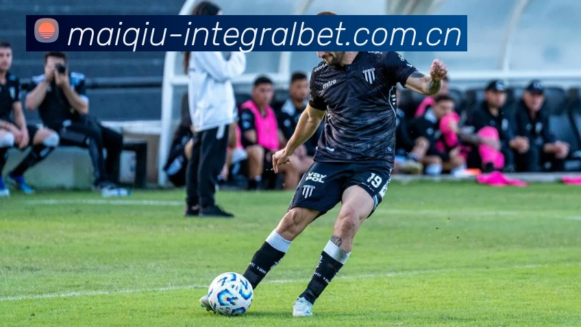 中超买球 derby 战平台生态图